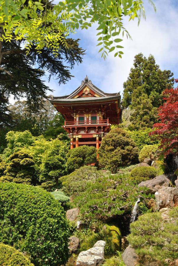 Golden Gate Park Suite San Francisco Zewnętrze zdjęcie